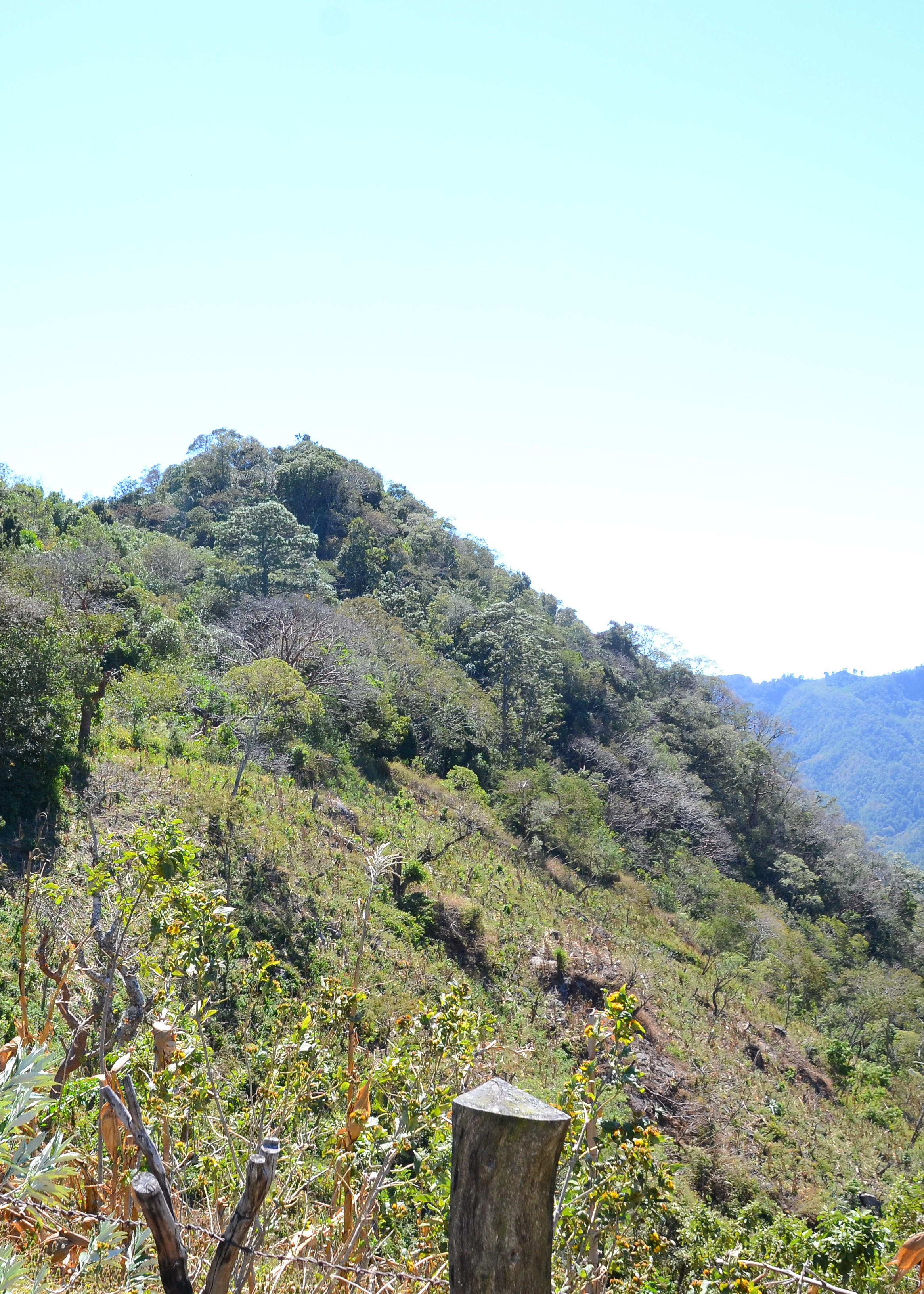Cerro Los Tamales8.jpg